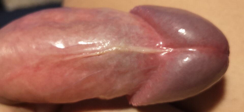 IMG_20201106_194030.jpg - Matrix29