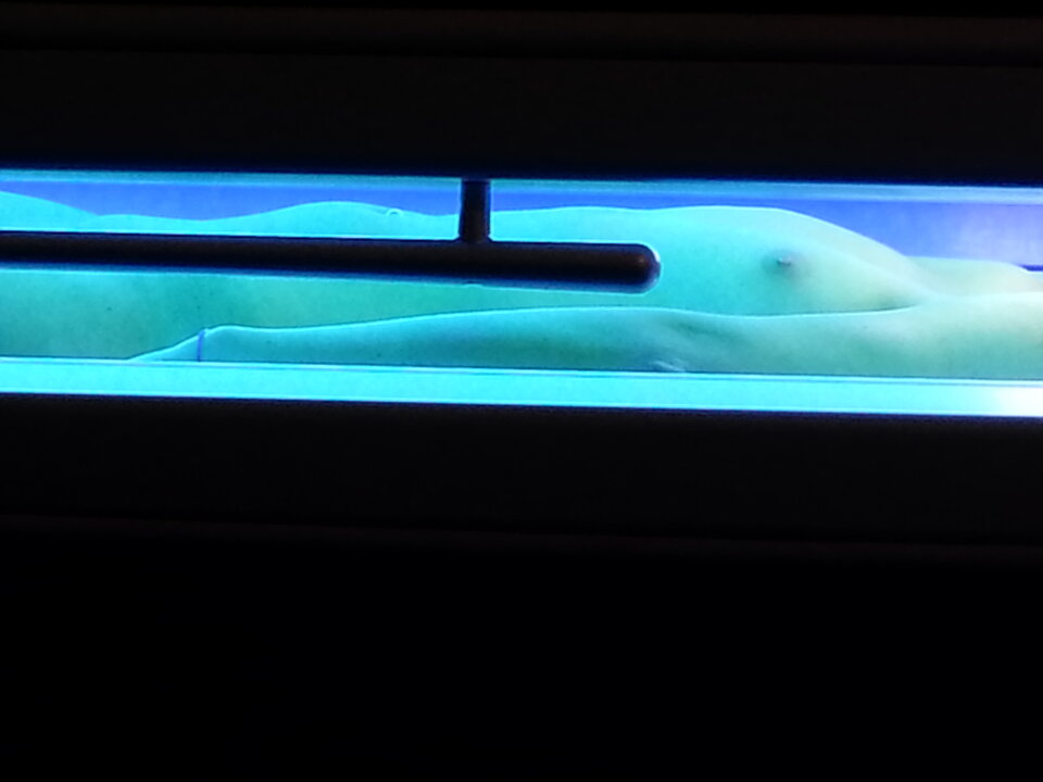 20130918_194537.jpg - Pestipar