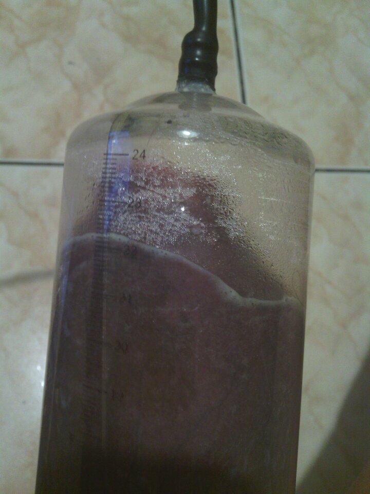 IMG_20201107_071107.jpg - martin120174