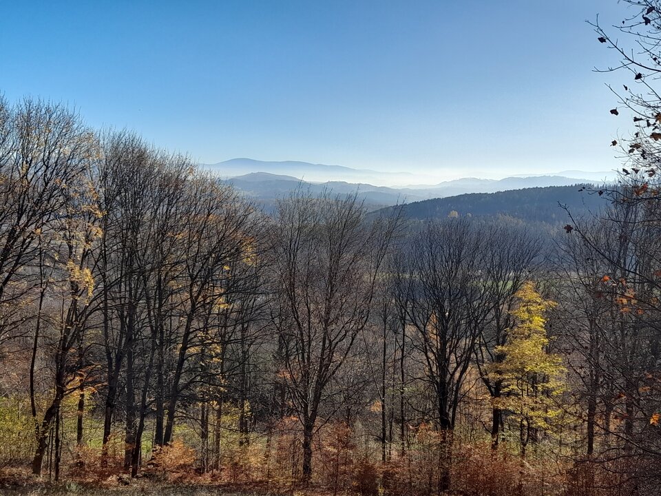 20201107_125024.jpg - Nielubiepis