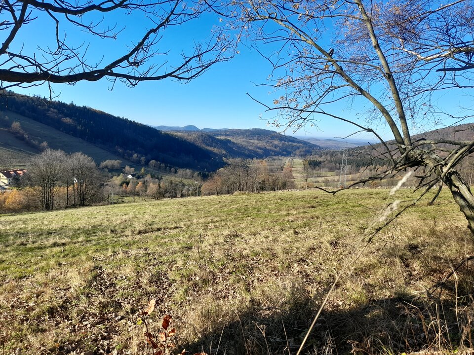 20201107_131515.jpg - Nielubiepis