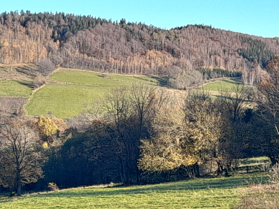 20201107_141127.jpg - Nielubiepis