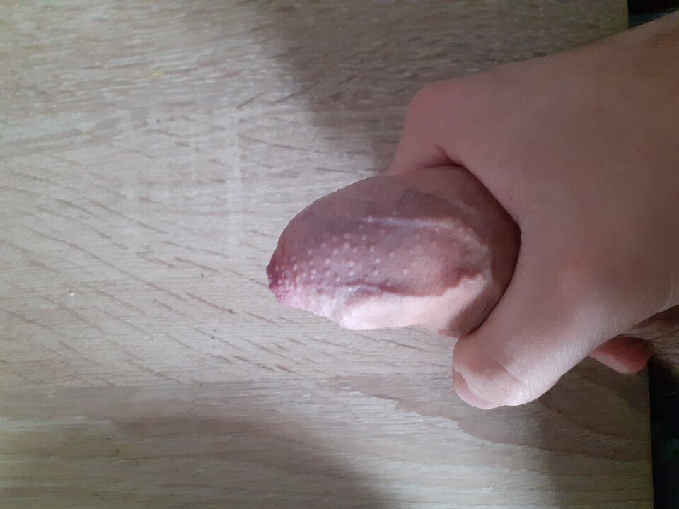 16048258404716346550215749438292.jpg - Tomano1993