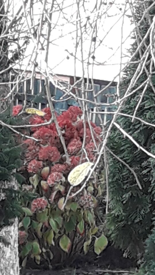 20201108_095949.jpg - ParaGdansk82