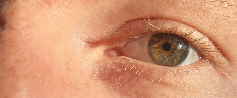 IMG_20201108_142709.jpg - Justlookingaround