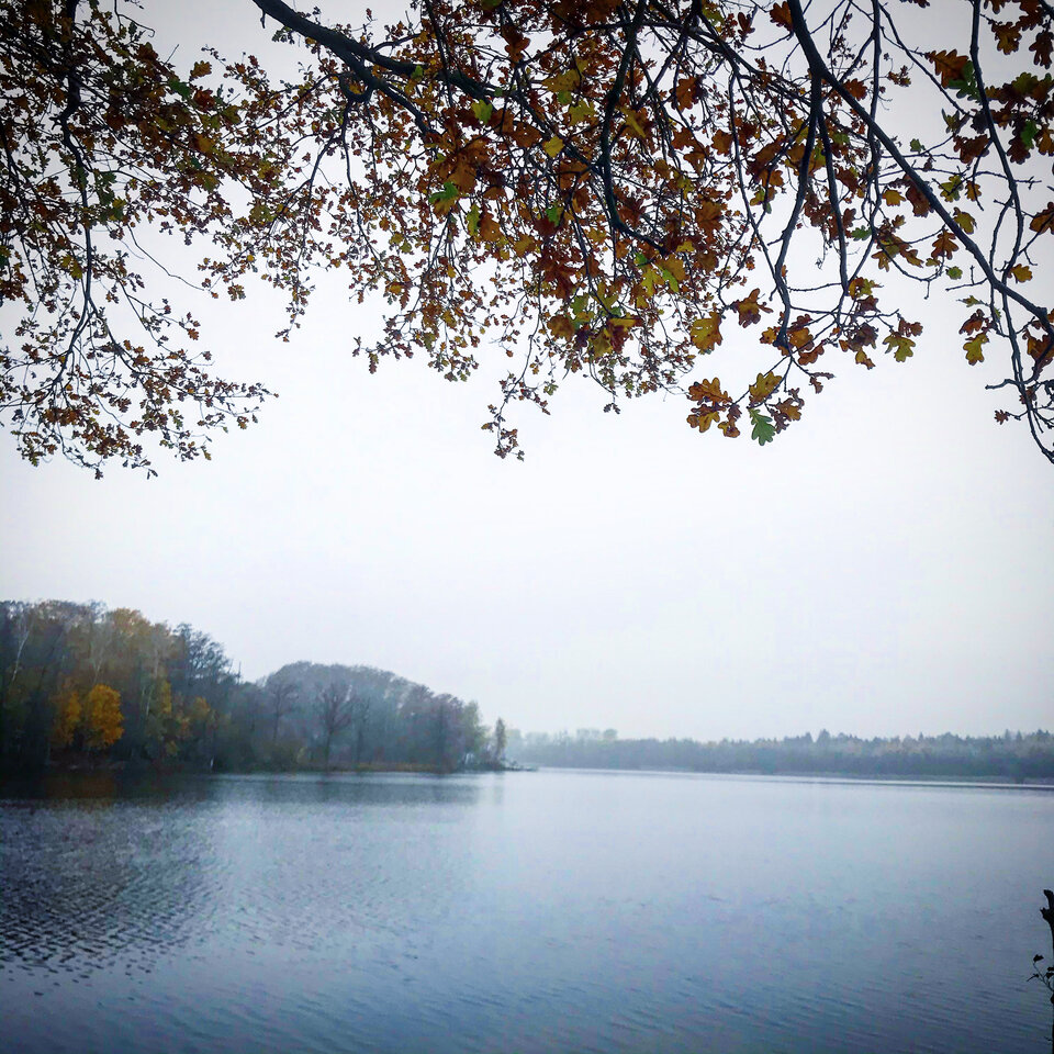 27703B39-4475-4735-8E9E-F1D8B61FFA02.jpeg - Mekagojiranogyakushu