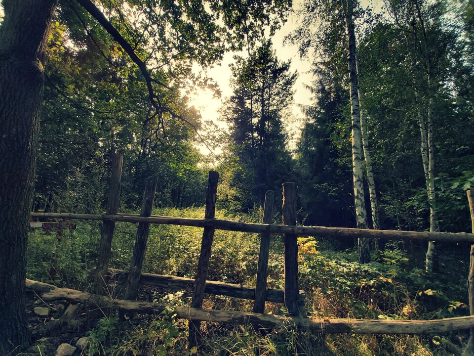 Świat za płotem.... - para_kochankow