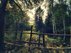 Świat za płotem....