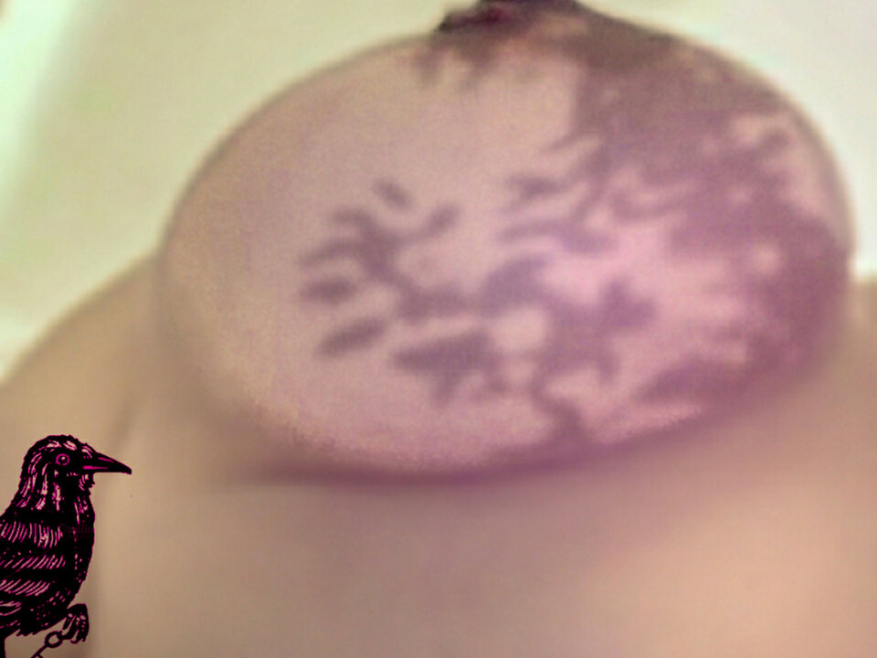 0201108_200125556.jpg - MBSL