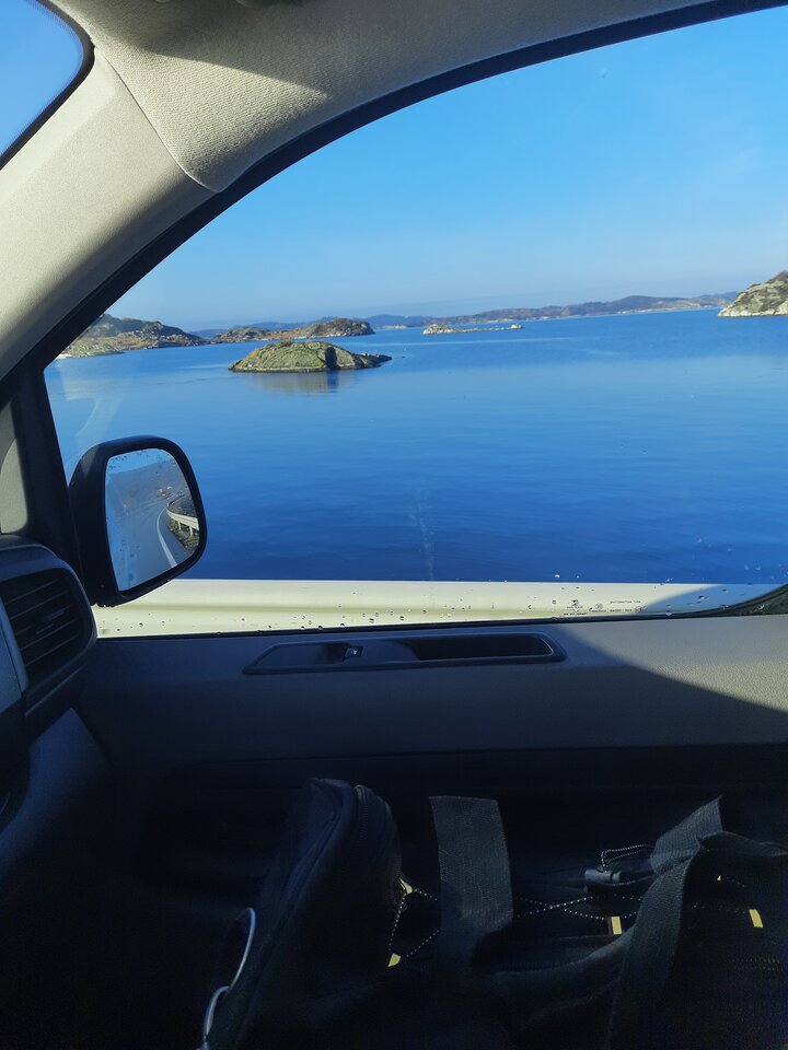 20201108_112501.jpg - Palciusia