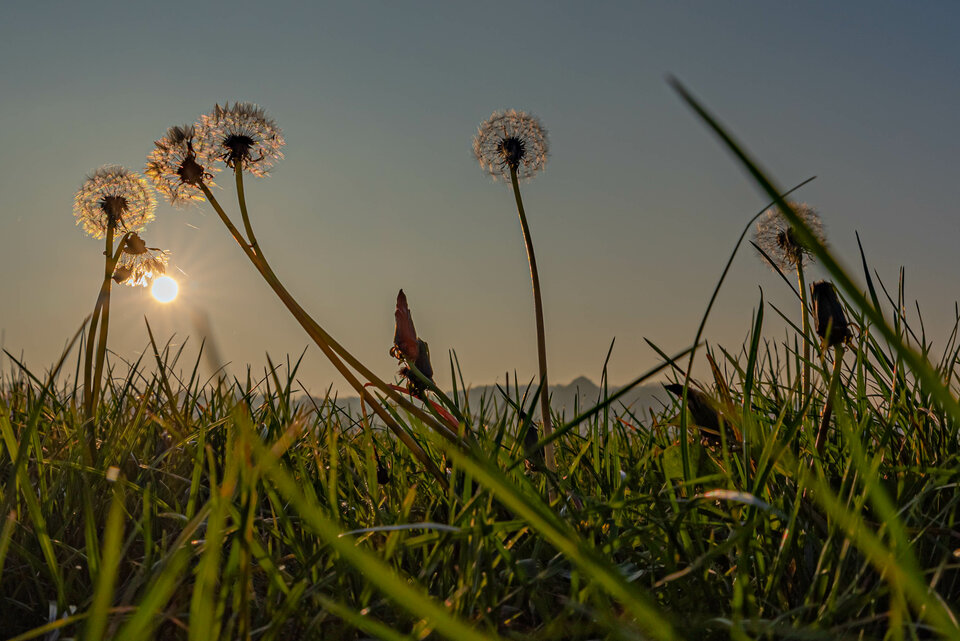 Jesiennie 4 - mystic