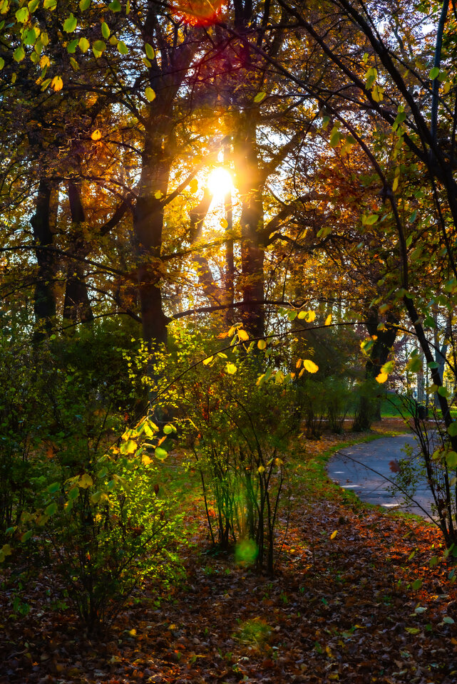 Jesiennie 2 - mystic