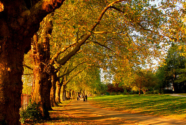 IMG_6946.jpg - Canonier80