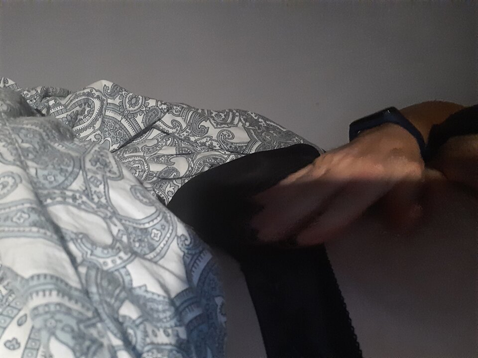 16050445043167697049868538613240.jpg - Palciusia