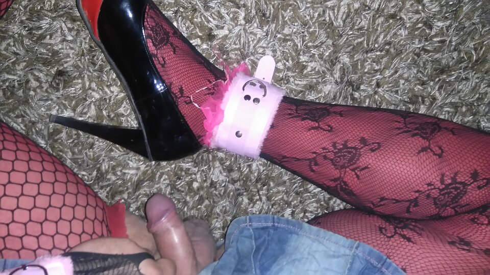 DSC_0284.JPG - transgliwice