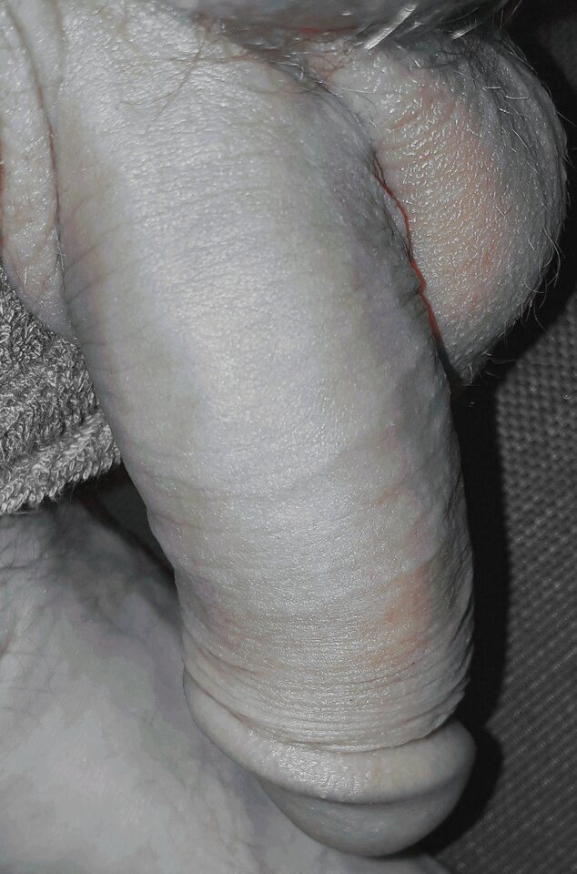 20201111_010636.jpg - robsxxxx