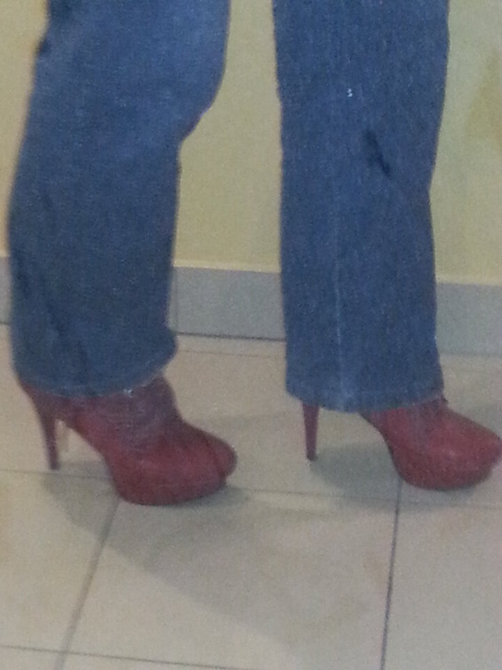 20151201_175043.jpg - fidodido40