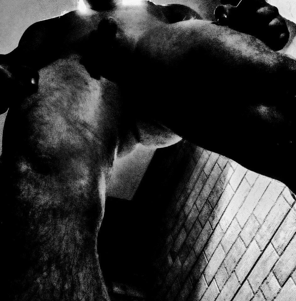 PSX_20190531_231129.jpg - DonKichot82