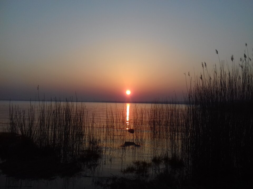 20200327_180632.jpg - torii99