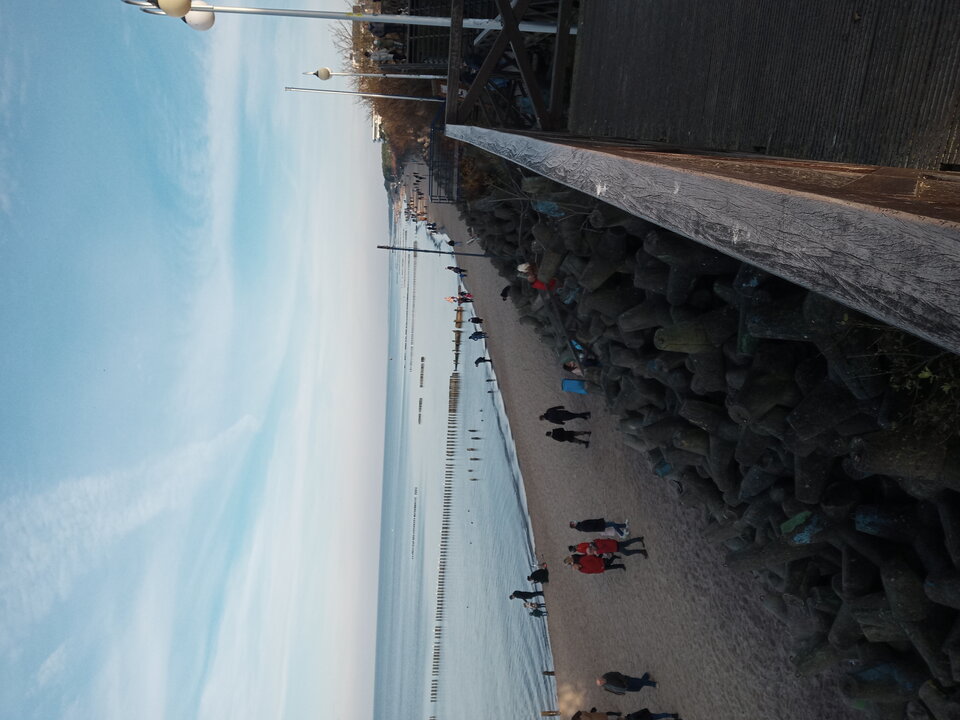 20201115_134510.jpg - Mrowka72