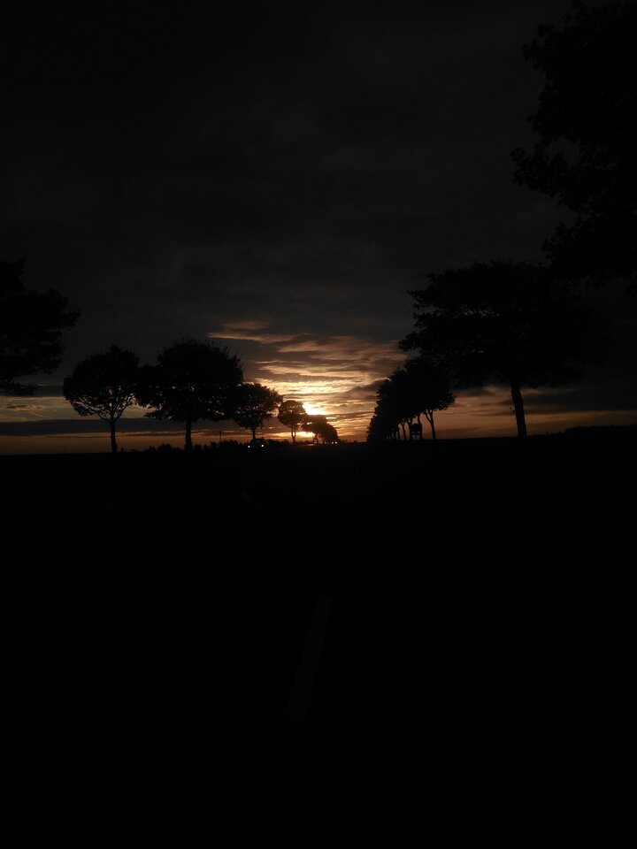 IMG_20171010_082435.jpg - fajnigorzow