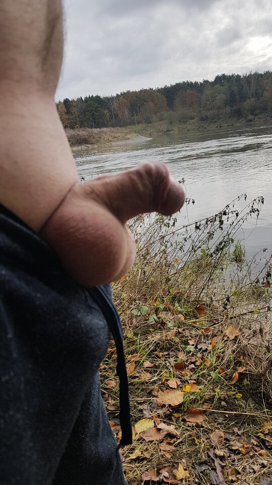 20201116_122744.jpg - Kutasekmaly1