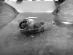 IMG_20201113_200531.jpg