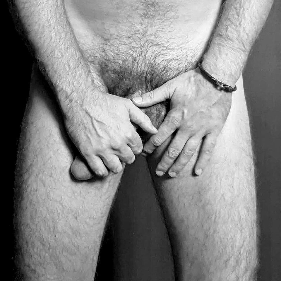 front_01.jpg - fazi_fazer