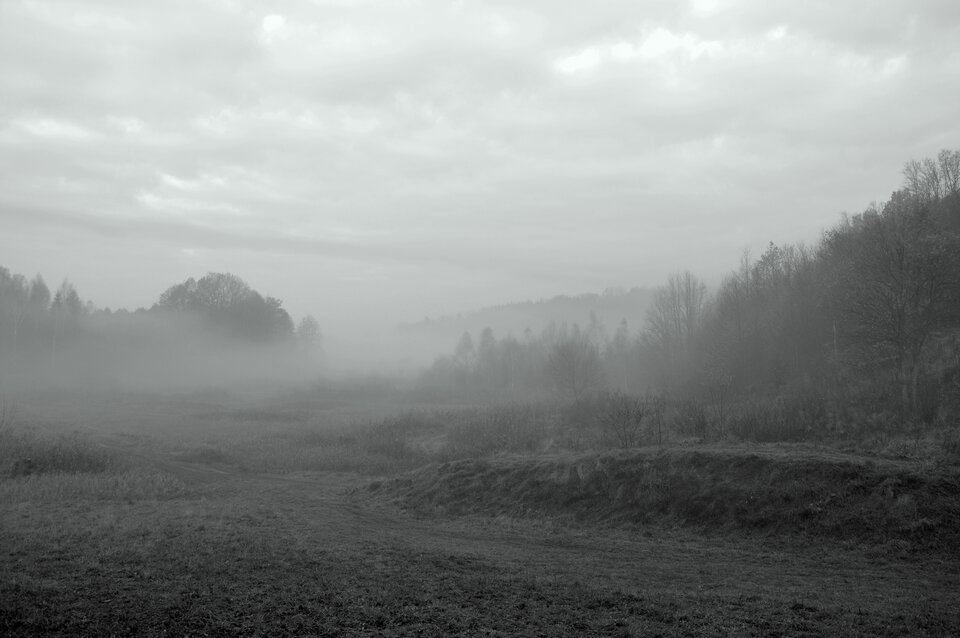 DSC_3831.JPG - demon13