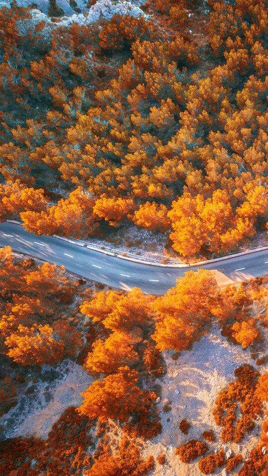 magazine-unlock-01-2.3.6022-_BF0D190A7630DE5631DBDD63F30E1D63.jp - grzybekkk