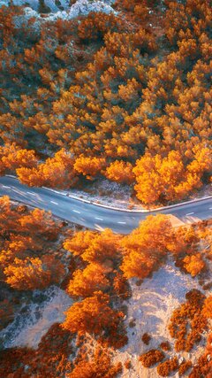 magazine-unlock-01-2.3.6022-_BF0D190A7630DE5631DBDD63F30E1D63.jp