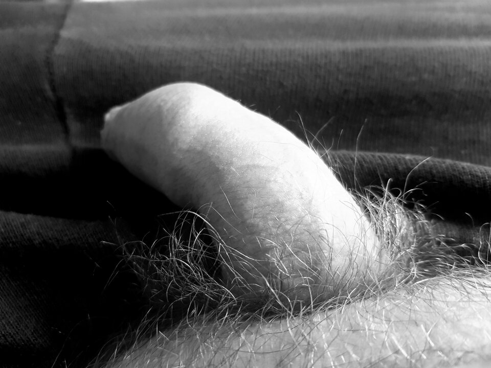 20201120_105819.jpg - pitupitu00