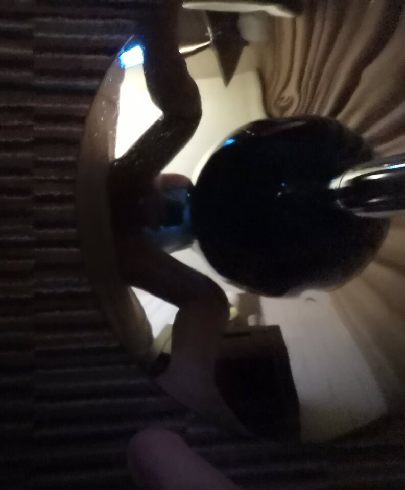 IMG_20201112_215553_1~2.jpg - tancory