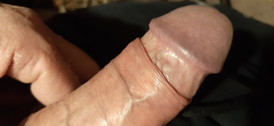 20201121_225326.jpg - gutek1234