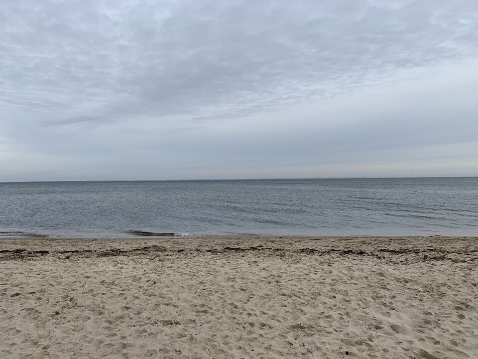 2053A307-E942-4E24-9A0B-EE79B3685C8B.jpeg - moby_dick