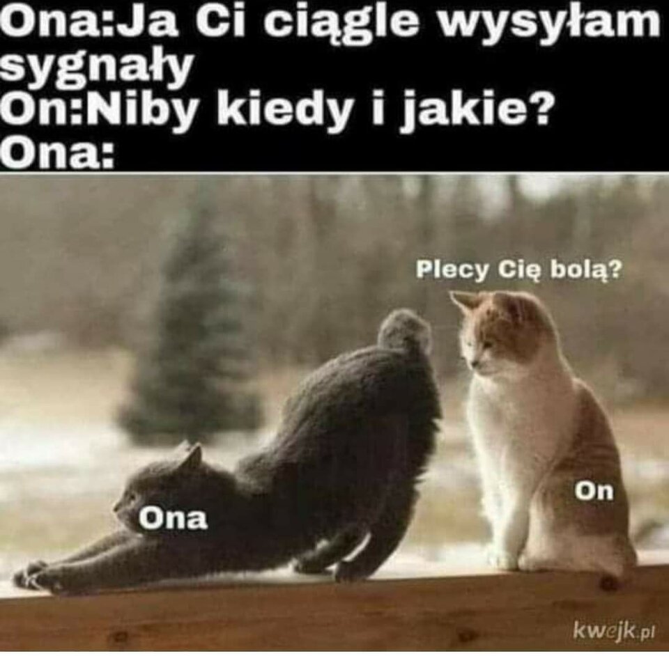 FB_IMG_1605714582802.jpg - ZranionaAleSilna