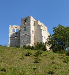 IMG_20201120_095910.jpg