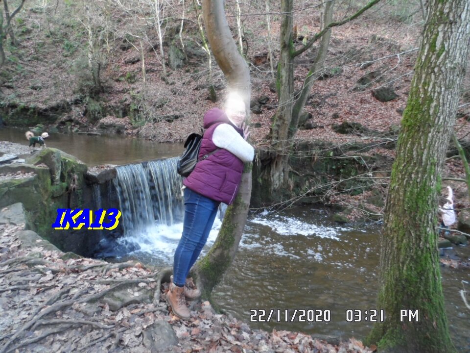 SAM_3069.JPG - ika13