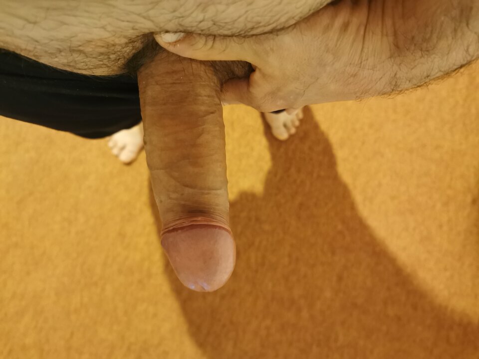 IMG_20201122_192212.jpg - andrzejsss