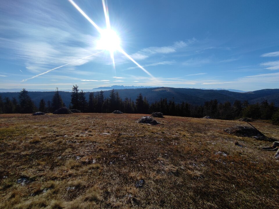 IMG_20201122_105916.jpg - 666krk