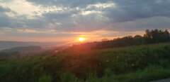 20200501_052600.jpg