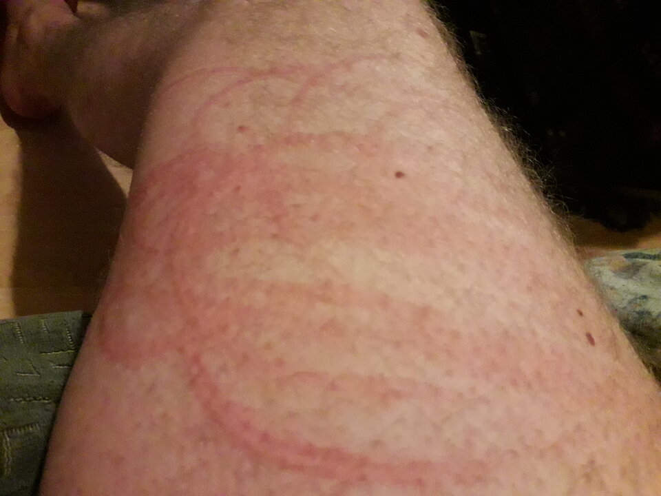 20201126_022433.jpg - Pd900