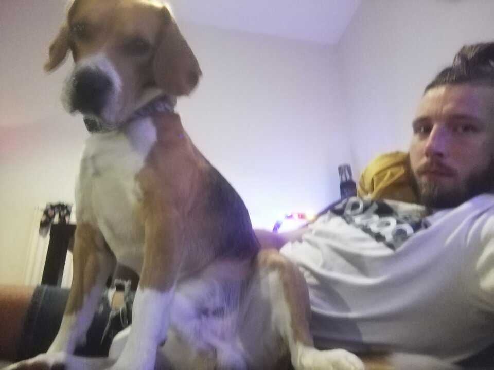 IMG_20201121_220103.jpg - hedon1sta