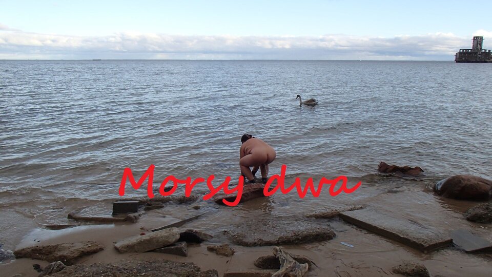 Jesienna kąpiel. - Morsy_dwa