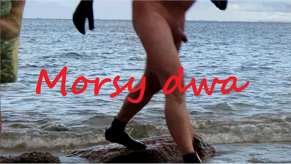 Jesienna kąpiel. - Morsy_dwa