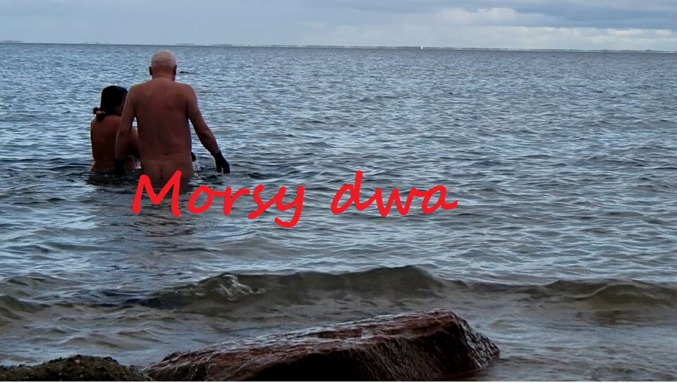 Jesienna kąpiel. - Morsy_dwa