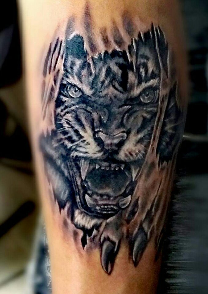 PhotoGrid_1502397863398.jpg - Pioter76