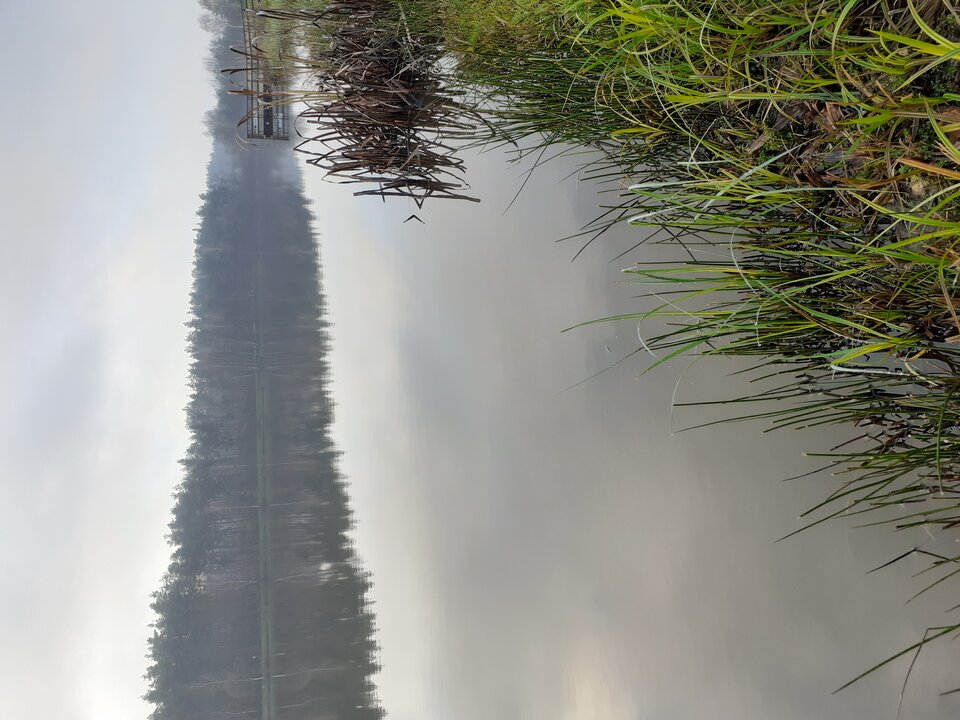 20201128_085540.jpg - Lubieeeeeeee