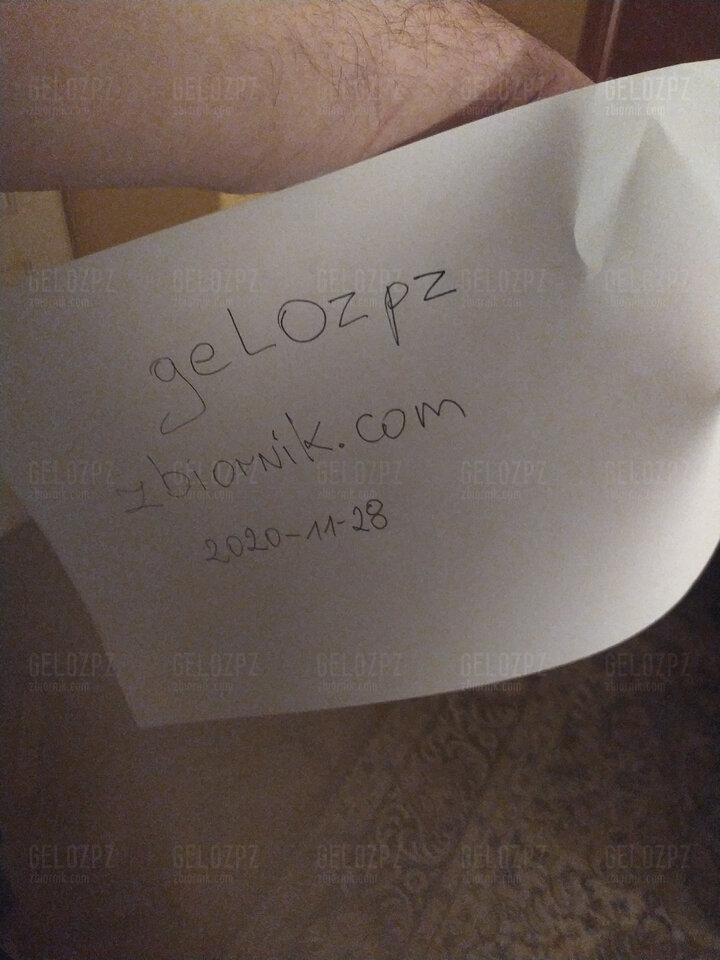 IMG_20201128_161846_1.jpg - gelozpz