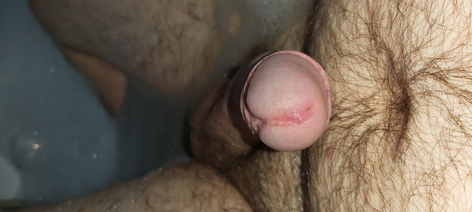 16065894275294974805095028382274.jpg - Kukuuuk